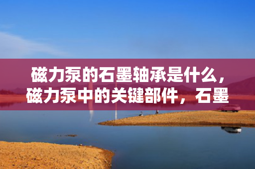 磁力泵的石墨轴承是什么，磁力泵中的关键部件，石墨轴承解析