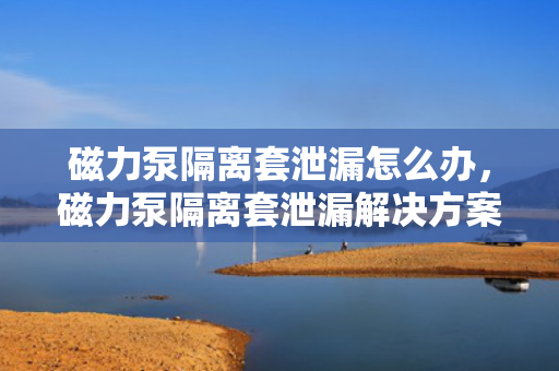 磁力泵隔离套泄漏怎么办，磁力泵隔离套泄漏解决方案