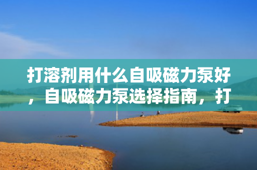 打溶剂用什么自吸磁力泵好，自吸磁力泵选择指南，打溶剂的理想之选