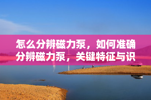 怎么分辨磁力泵，如何准确分辨磁力泵，关键特征与识别方法
