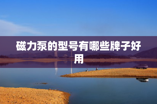 磁力泵的型号有哪些牌子好用