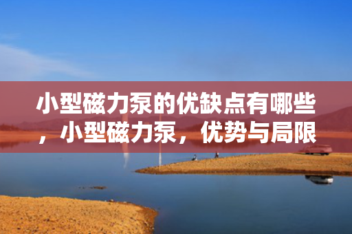 小型磁力泵的优缺点有哪些，小型磁力泵，优势与局限一览