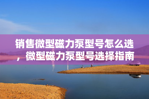 销售微型磁力泵型号怎么选，微型磁力泵型号选择指南，如何挑选适合的销售型号