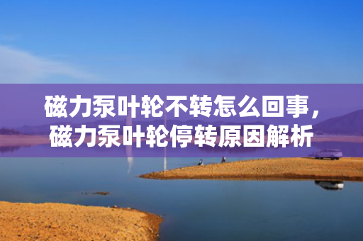 磁力泵叶轮不转怎么回事，磁力泵叶轮停转原因解析