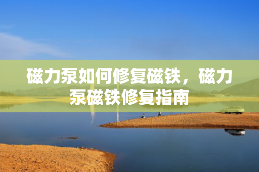 磁力泵如何修复磁铁，磁力泵磁铁修复指南