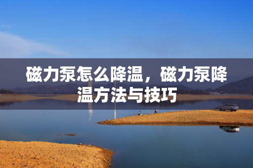 磁力泵怎么降温，磁力泵降温方法与技巧