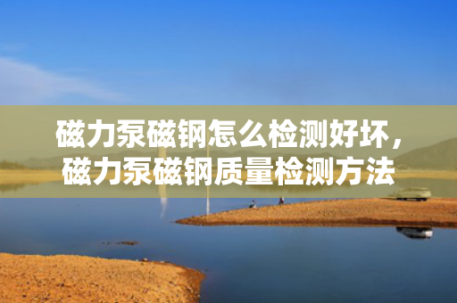磁力泵磁钢怎么检测好坏，磁力泵磁钢质量检测方法