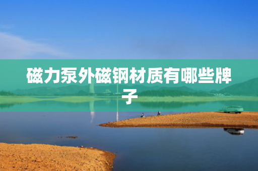 磁力泵外磁钢材质有哪些牌子