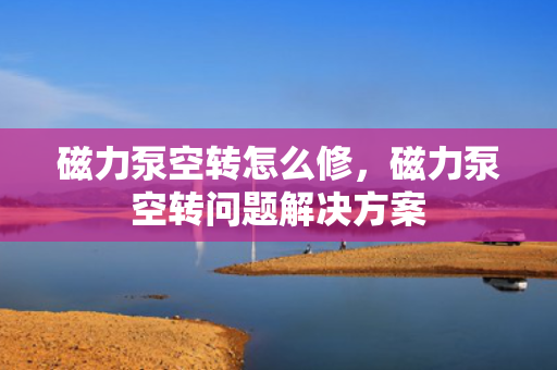 磁力泵空转怎么修，磁力泵空转问题解决方案