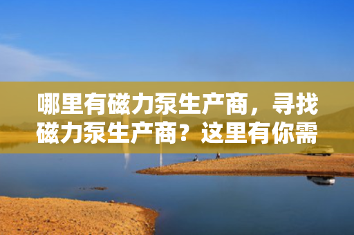 哪里有磁力泵生产商，寻找磁力泵生产商？这里有你需要的信息！