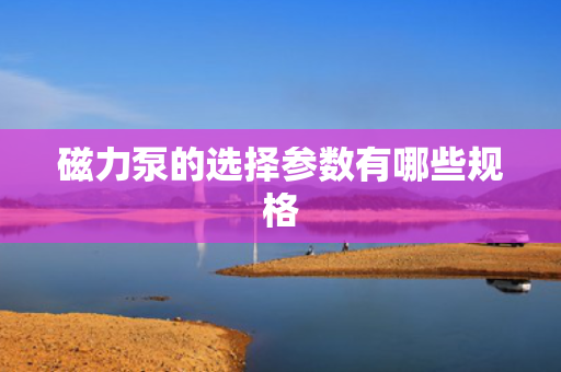 磁力泵的选择参数有哪些规格