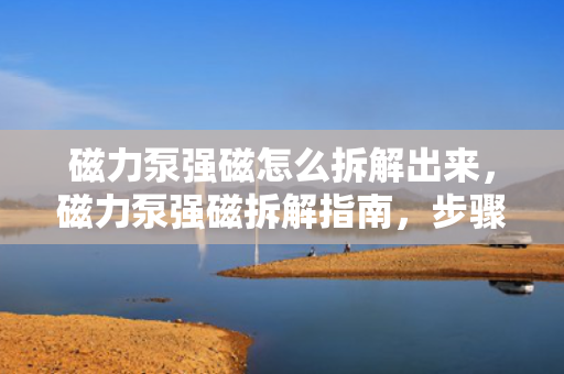 磁力泵强磁怎么拆解出来，磁力泵强磁拆解指南，步骤详解与注意事项
