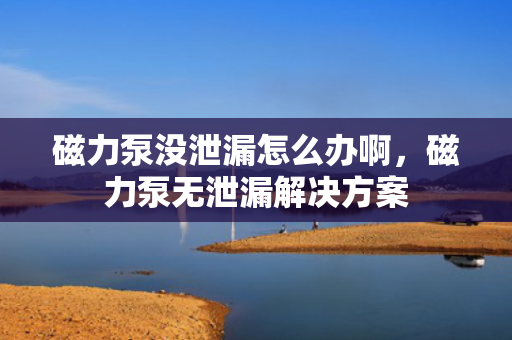磁力泵没泄漏怎么办啊，磁力泵无泄漏解决方案