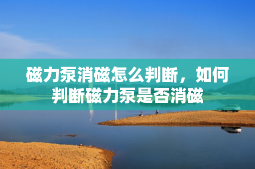 磁力泵消磁怎么判断，如何判断磁力泵是否消磁