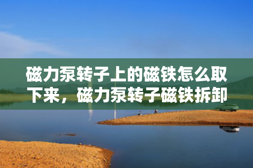 磁力泵转子上的磁铁怎么取下来，磁力泵转子磁铁拆卸方法