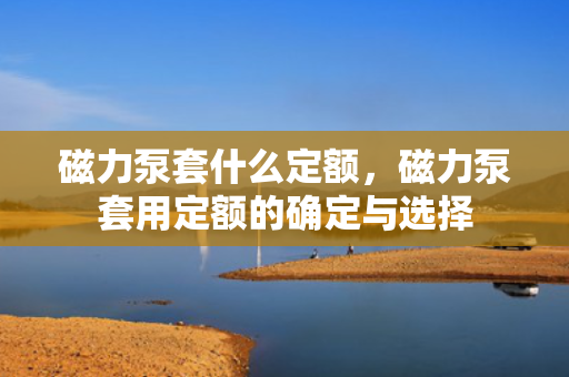 磁力泵套什么定额，磁力泵套用定额的确定与选择