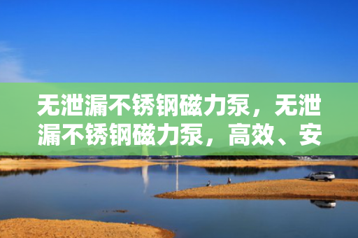 无泄漏不锈钢磁力泵，无泄漏不锈钢磁力泵，高效、安全、无泄漏的流体输送解决方案