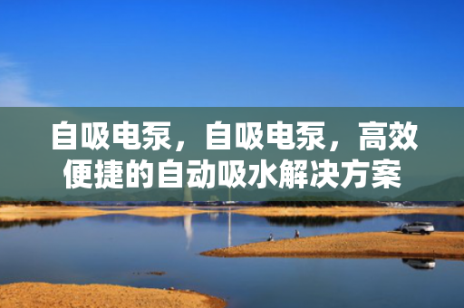 自吸电泵，自吸电泵，高效便捷的自动吸水解决方案