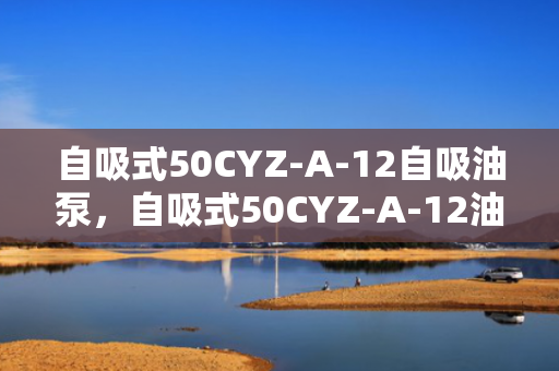 自吸式50CYZ-A-12自吸油泵，自吸式50CYZ-A-12油泵，高效自吸，轻松解决油泵难题