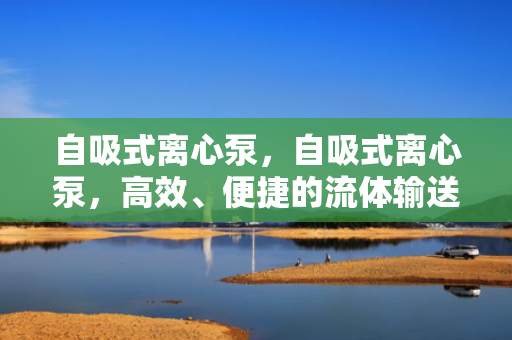 自吸式离心泵，自吸式离心泵，高效、便捷的流体输送解决方案