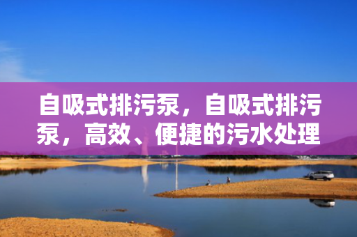 自吸式排污泵，自吸式排污泵，高效、便捷的污水处理解决方案