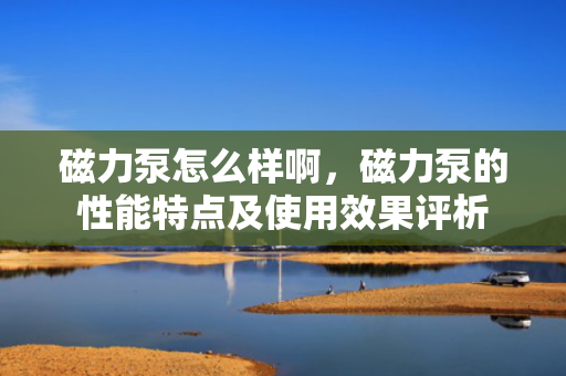 磁力泵怎么样啊，磁力泵的性能特点及使用效果评析