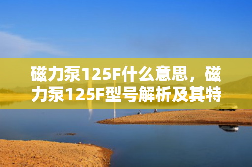 磁力泵125F什么意思，磁力泵125F型号解析及其特点