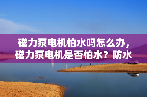 磁力泵电机怕水吗怎么办，磁力泵电机是否怕水？防水措施与解决方案