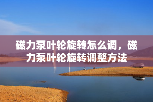 磁力泵叶轮旋转怎么调，磁力泵叶轮旋转调整方法