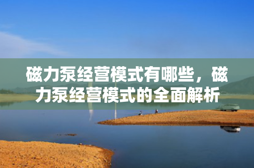 磁力泵经营模式有哪些，磁力泵经营模式的全面解析