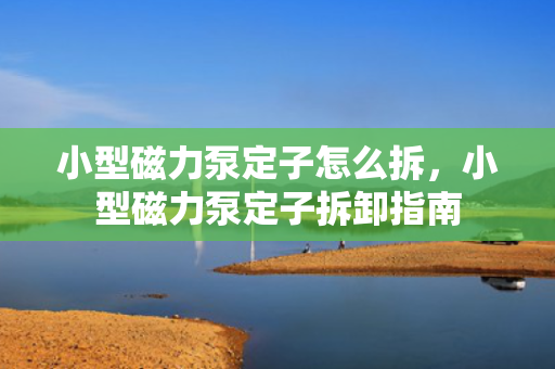 小型磁力泵定子怎么拆，小型磁力泵定子拆卸指南
