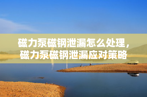磁力泵磁钢泄漏怎么处理，磁力泵磁钢泄漏应对策略