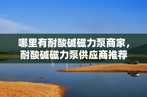哪里有耐酸碱磁力泵商家，耐酸碱磁力泵供应商推荐