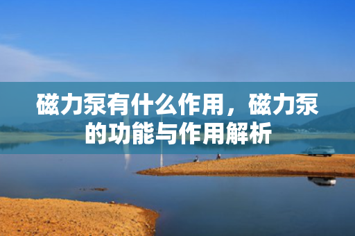 磁力泵有什么作用，磁力泵的功能与作用解析