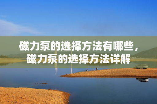 磁力泵的选择方法有哪些，磁力泵的选择方法详解