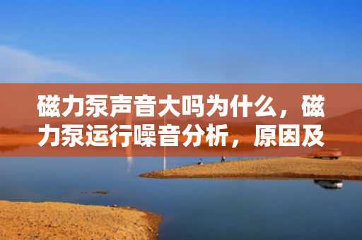 磁力泵声音大吗为什么，磁力泵运行噪音分析，原因及解决方案