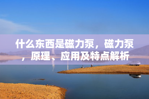 什么东西是磁力泵，磁力泵，原理、应用及特点解析