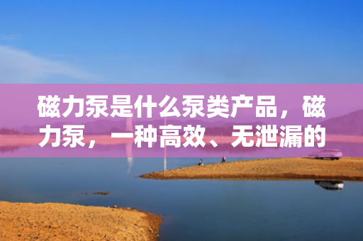 磁力泵是什么泵类产品，磁力泵，一种高效、无泄漏的泵类产品