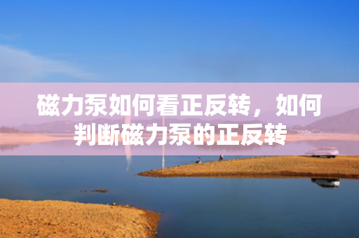 磁力泵如何看正反转，如何判断磁力泵的正反转