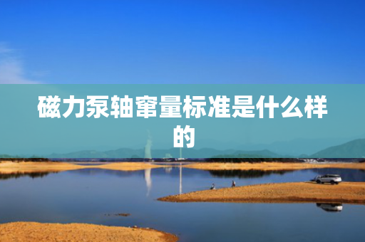 磁力泵轴窜量标准是什么样的