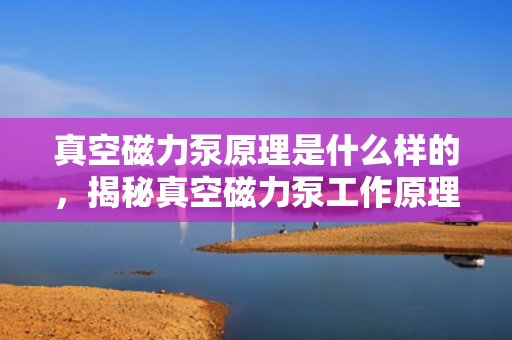 真空磁力泵原理是什么样的，揭秘真空磁力泵工作原理