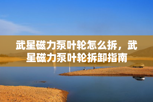 武星磁力泵叶轮怎么拆，武星磁力泵叶轮拆卸指南