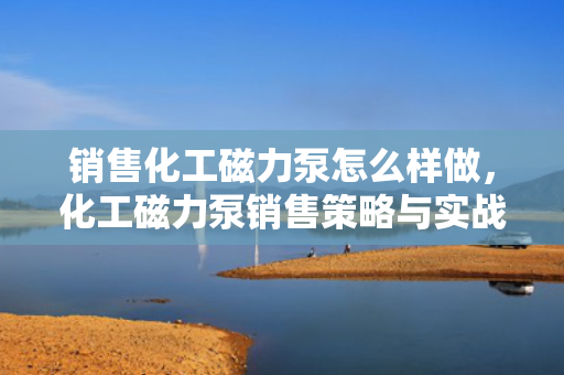 销售化工磁力泵怎么样做，化工磁力泵销售策略与实战指南