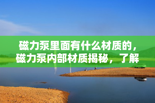磁力泵里面有什么材质的，磁力泵内部材质揭秘，了解其核心构成材料