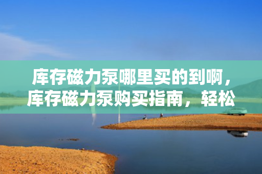 库存磁力泵哪里买的到啊，库存磁力泵购买指南，轻松找到可靠购买渠道