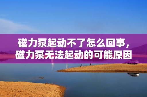 磁力泵起动不了怎么回事，磁力泵无法起动的可能原因及解决方法