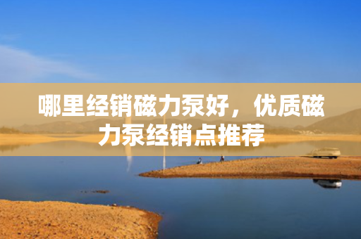 哪里经销磁力泵好，优质磁力泵经销点推荐