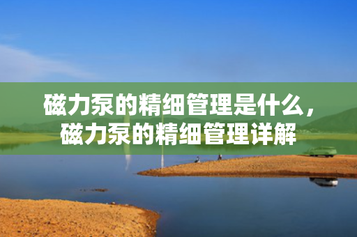 磁力泵的精细管理是什么，磁力泵的精细管理详解