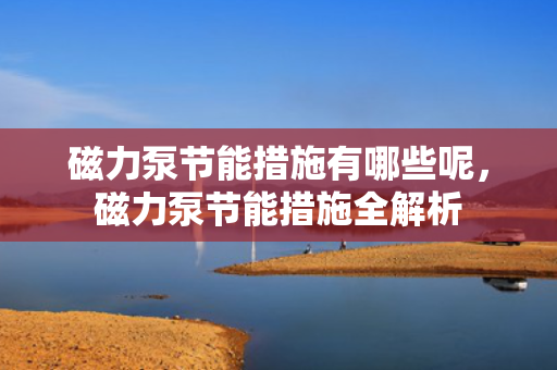 磁力泵节能措施有哪些呢，磁力泵节能措施全解析