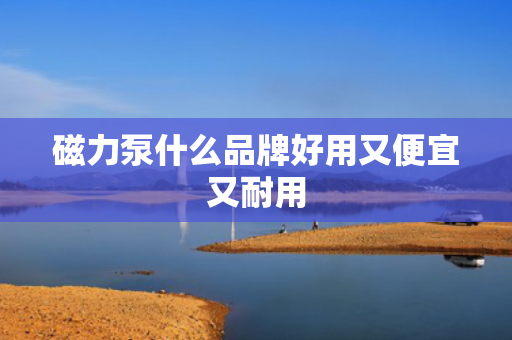 磁力泵什么品牌好用又便宜又耐用
